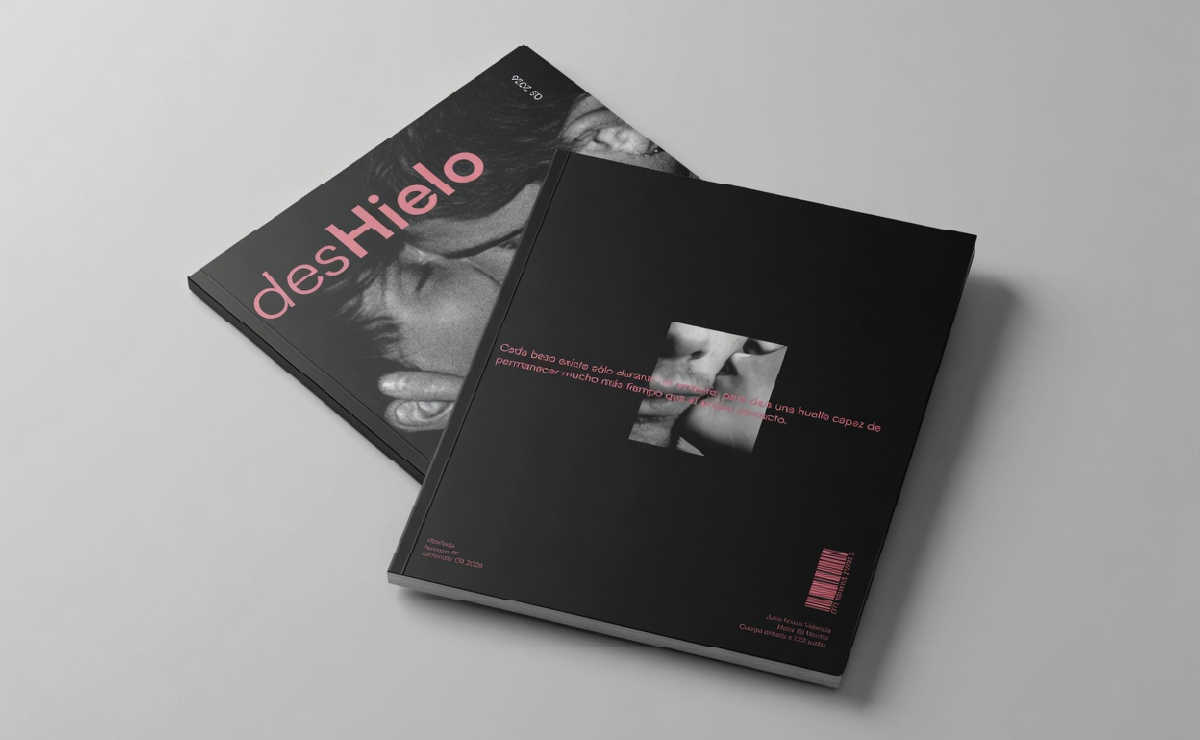 Proyecto diseño gráfico - desHielo